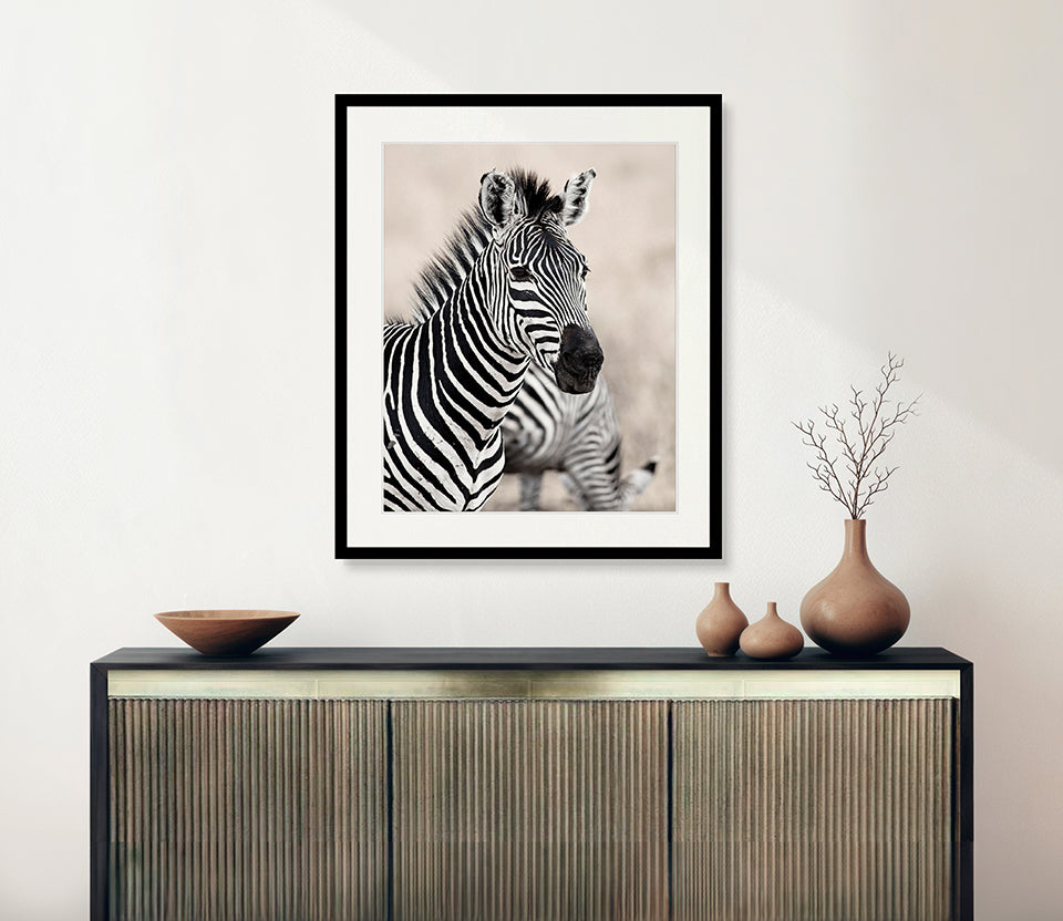 Wild Safari V