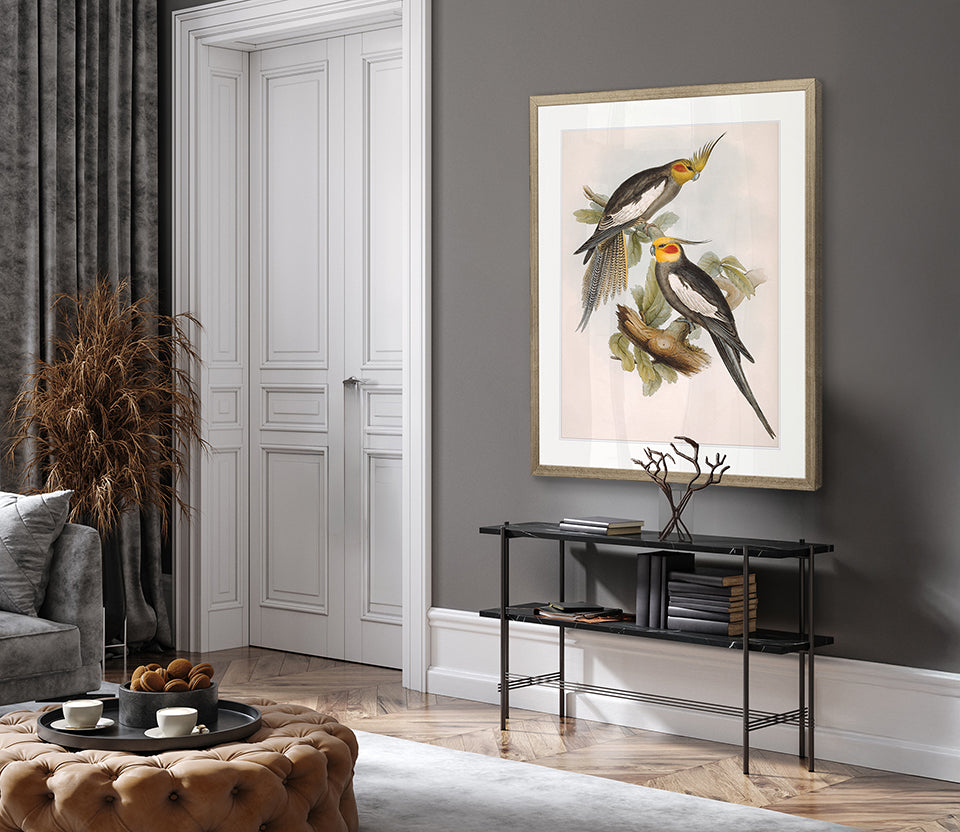 Splendid Bird I