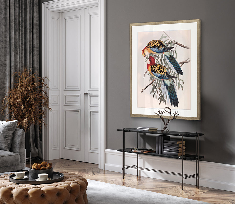 Splendid Bird IV