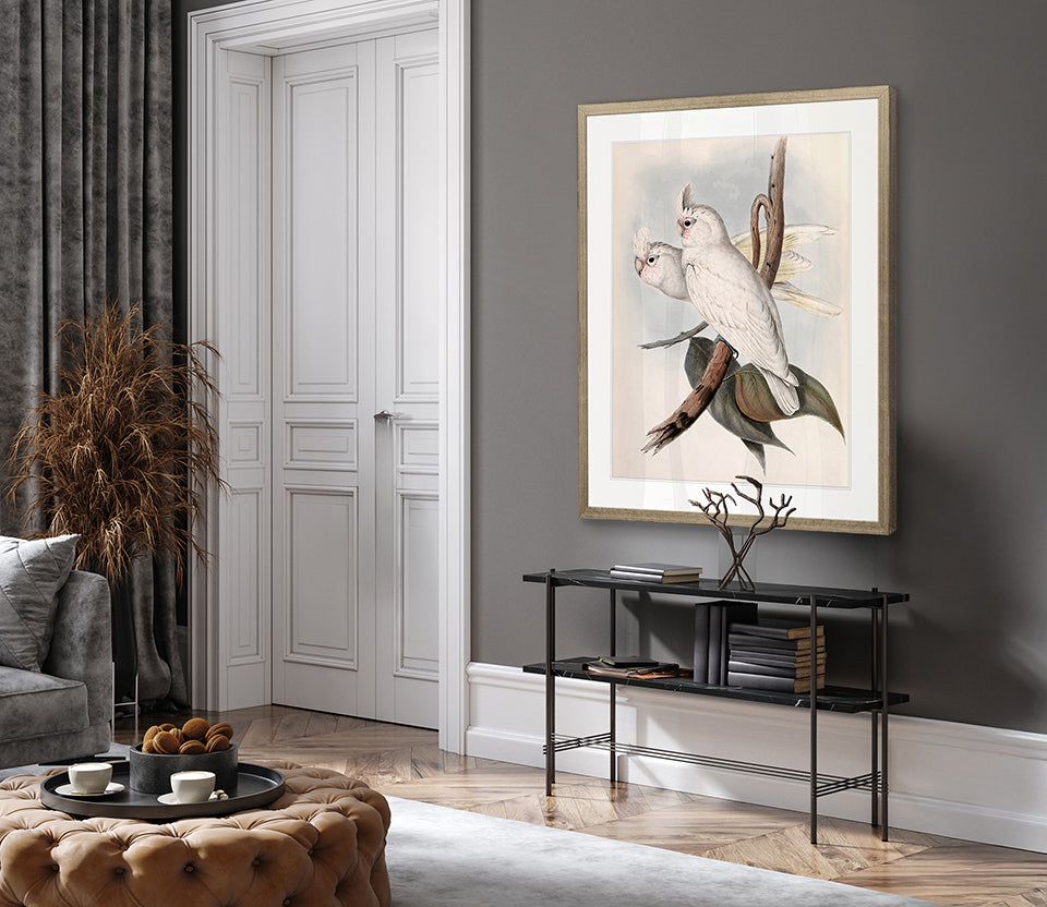Splendid Bird VII