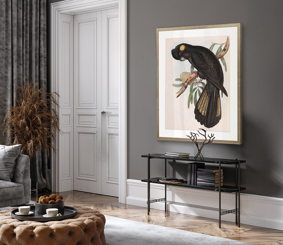 Splendid Bird VIII