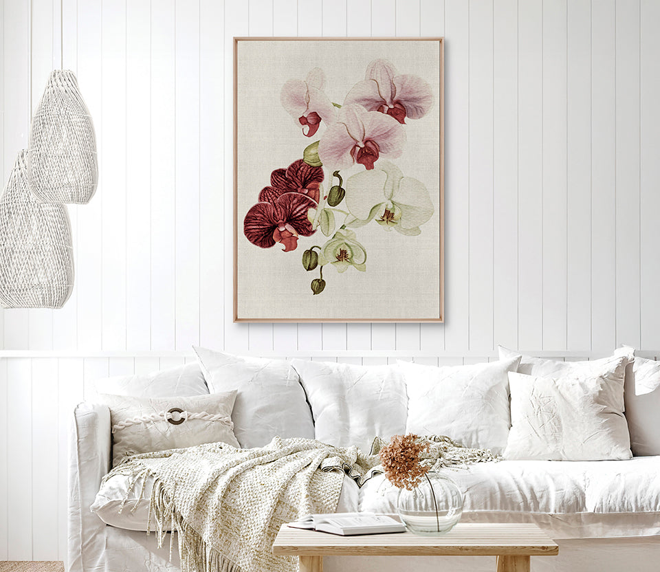 Delicate Orchid Bouquet III Canvas