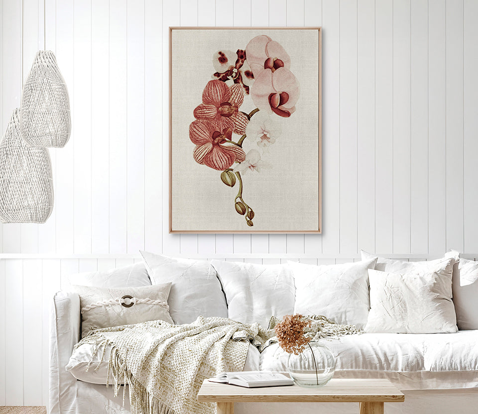 Delicate Orchid Bouquet IV Canvas