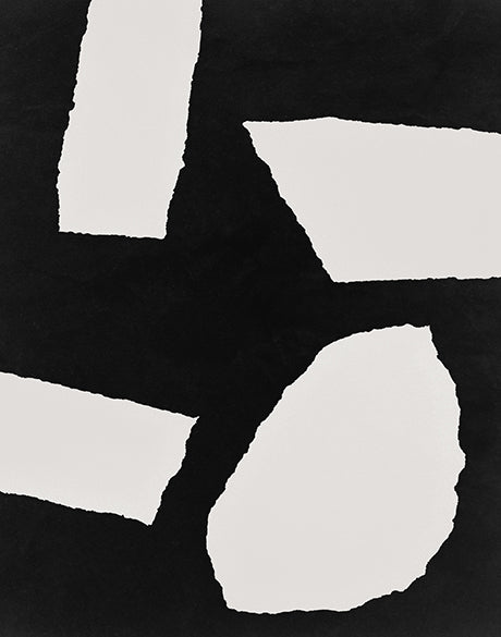 Suede Abstract II