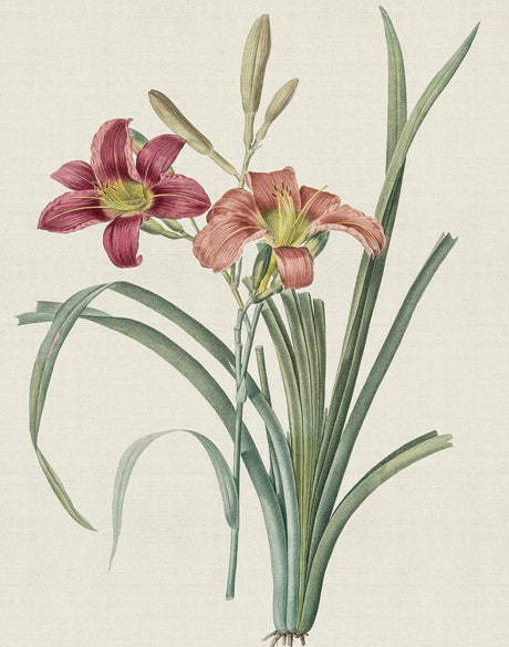 Tiverton Floral I (Canvas)