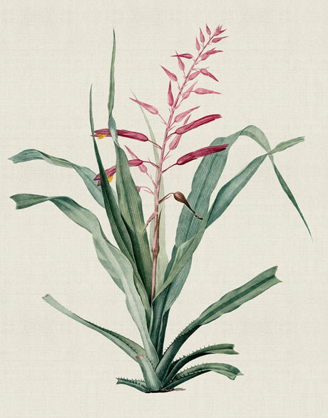 Tiverton Floral II (Canvas)