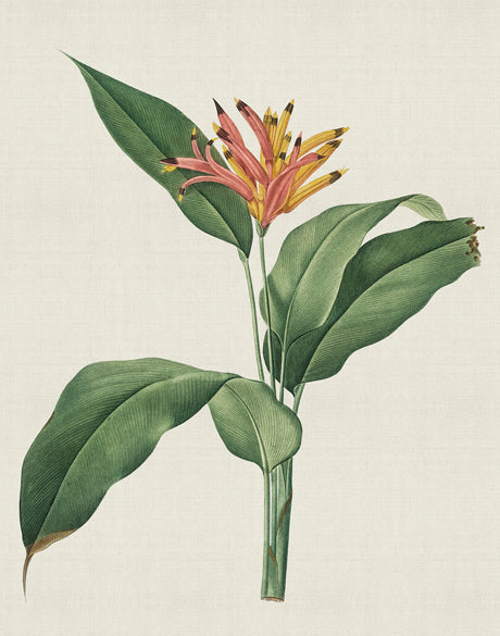 Tiverton Floral VI