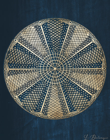 Le Diatomee II (Canvas)