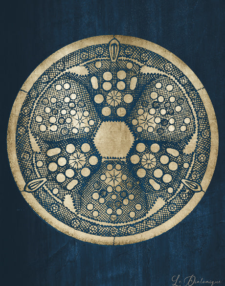 Le Diatomee IV (Canvas)