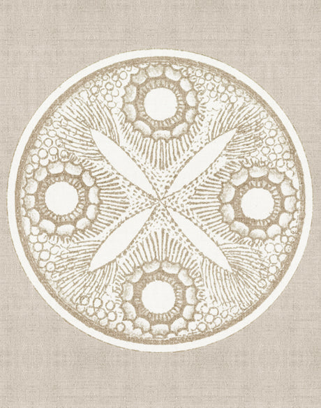 Le Diatomee V (Canvas)