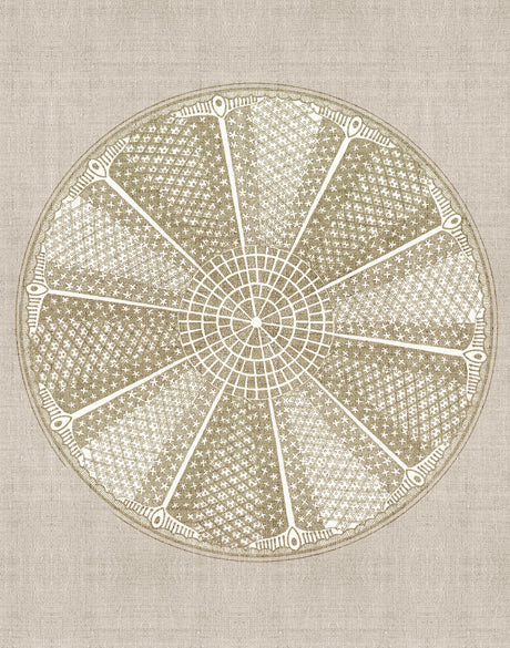 Le Diatomee VI (Canvas)