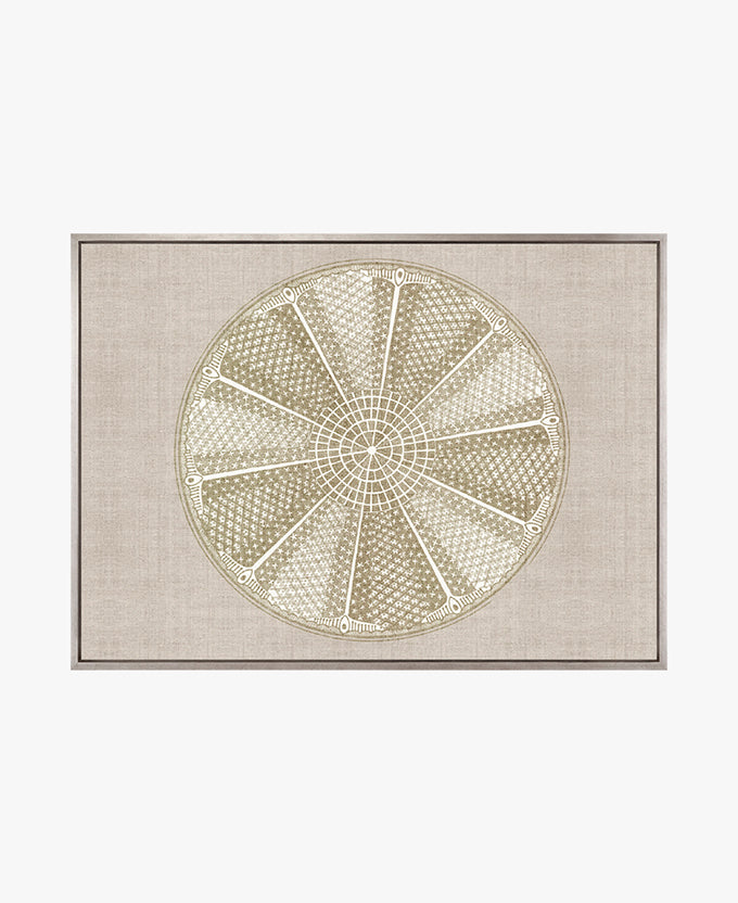 Le Diatomee VI (Canvas)