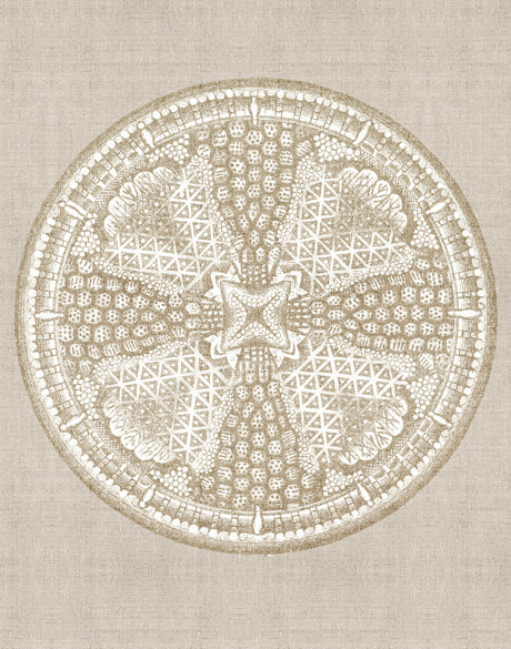 Le Diatomee VII (Canvas)
