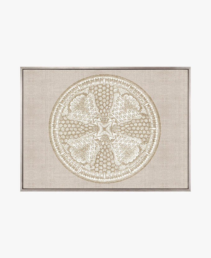 Le Diatomee VII (Canvas)
