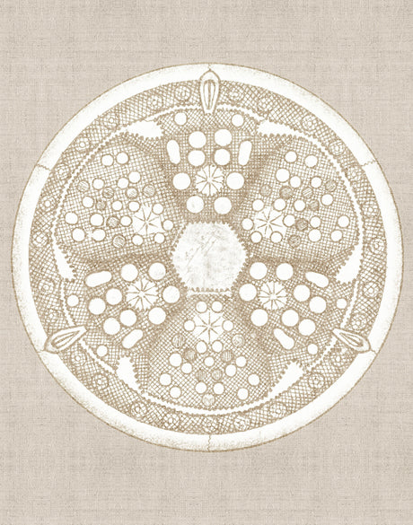 Le Diatomee VIII (Canvas)