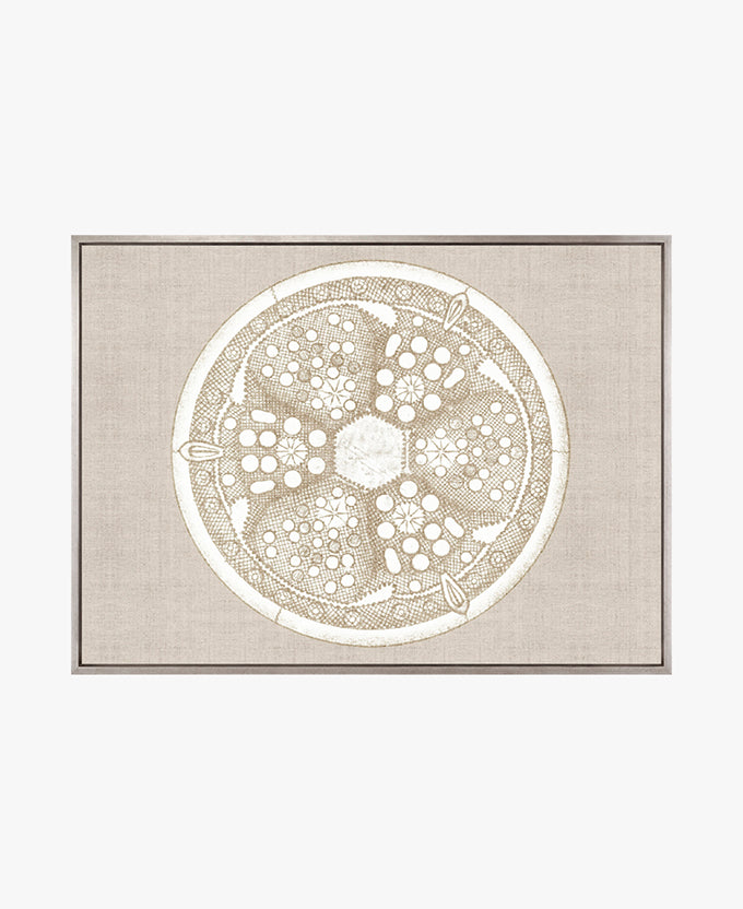 Le Diatomee VIII (Canvas)
