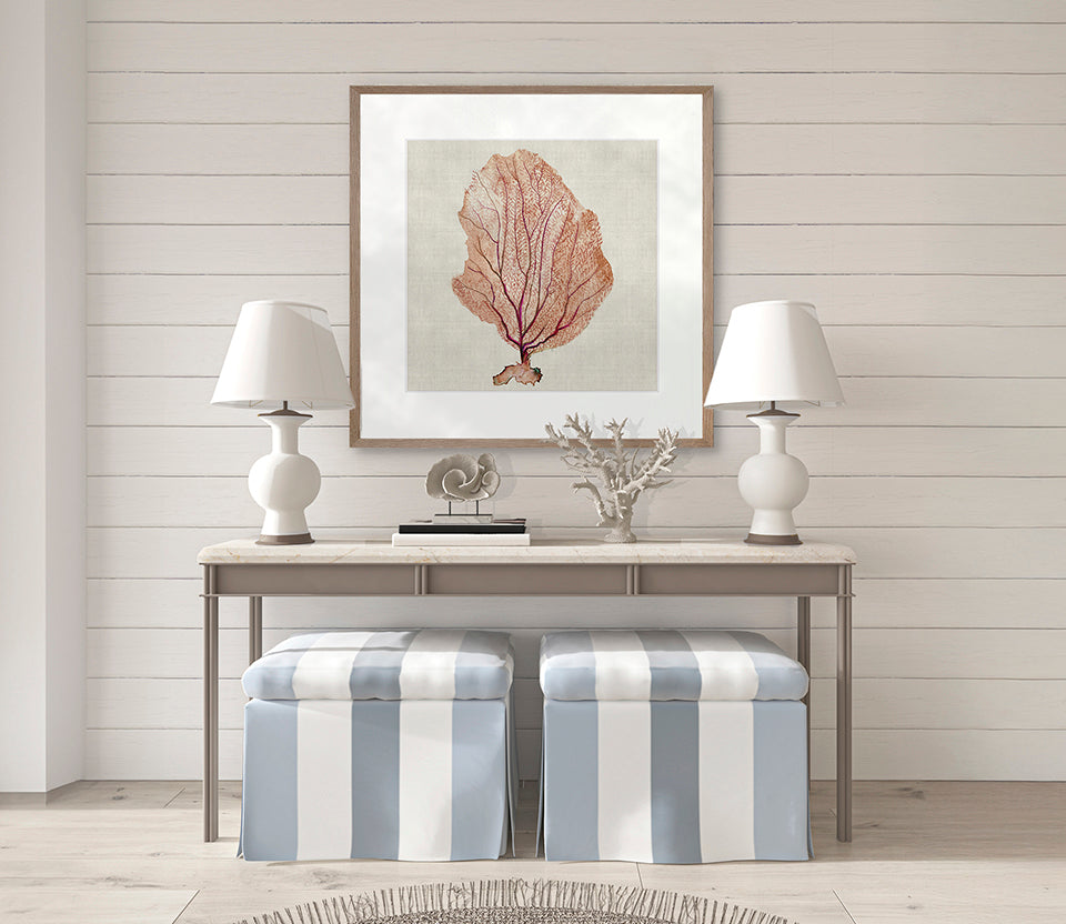 Delicate Coral I