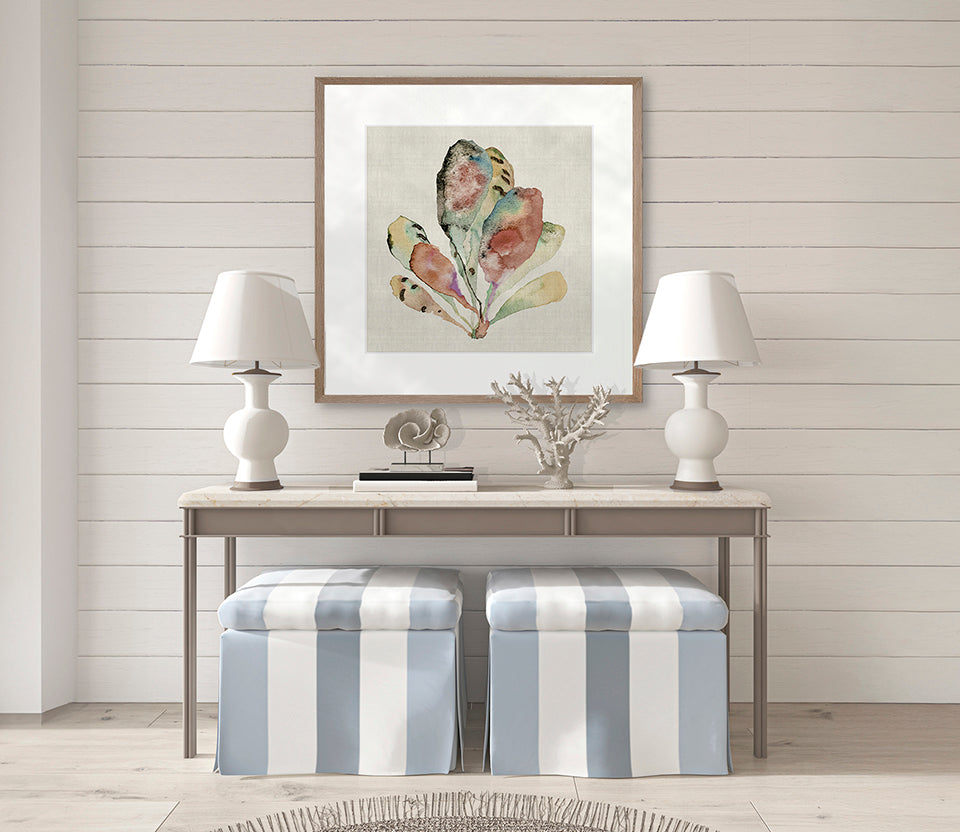 Delicate Coral II