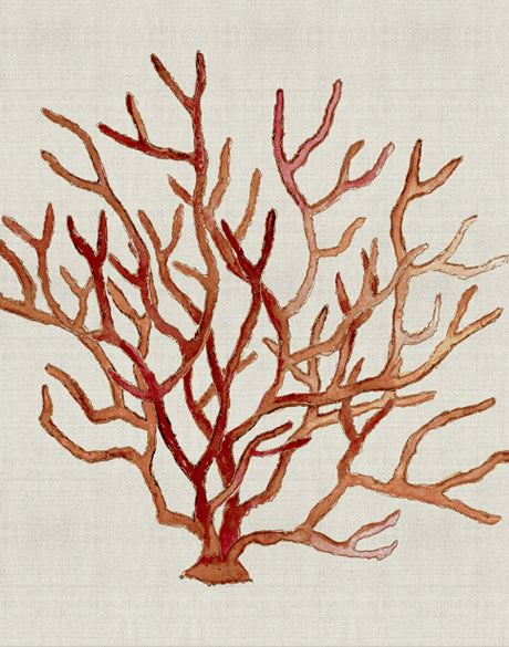 Delicate Coral III