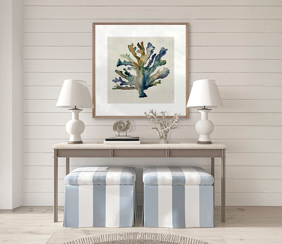 Delicate Coral VI