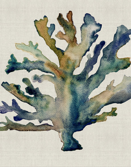 Delicate Coral VI