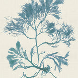 var04_3