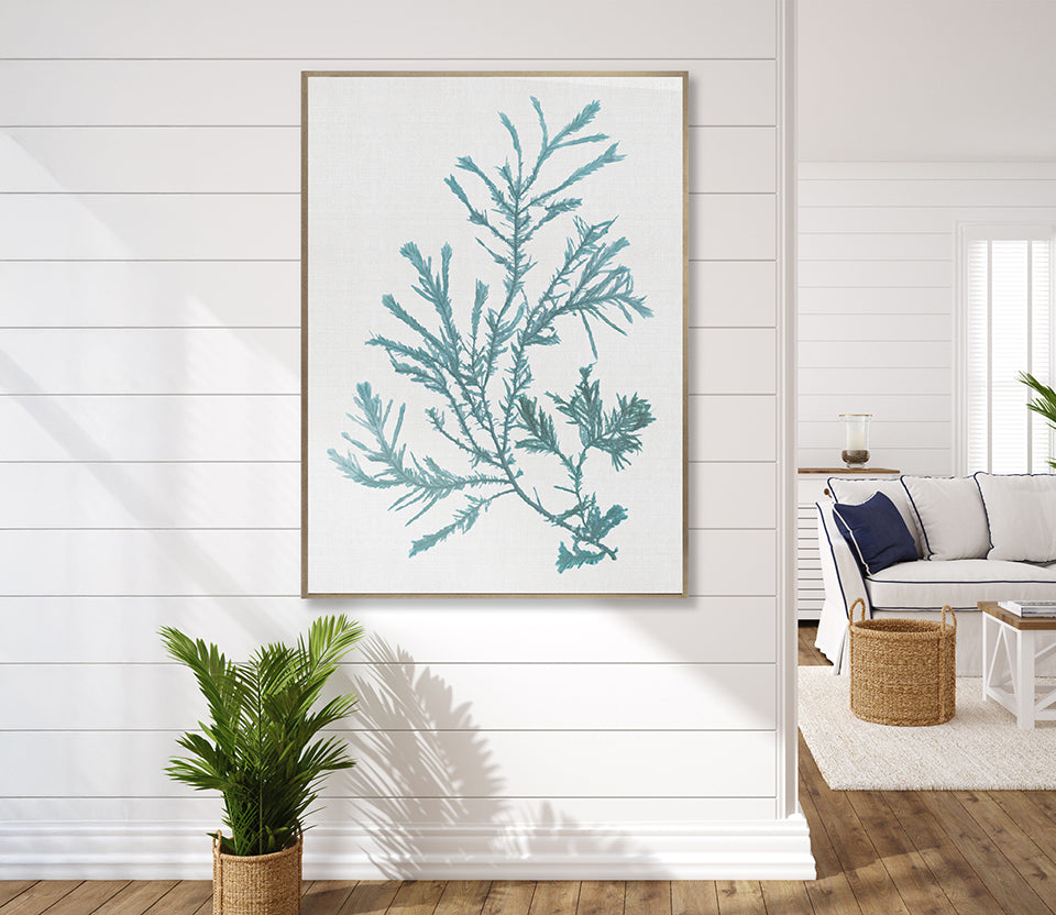 Seaweed Subject VI (Blue) (Canvas)