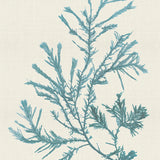 var06_3
