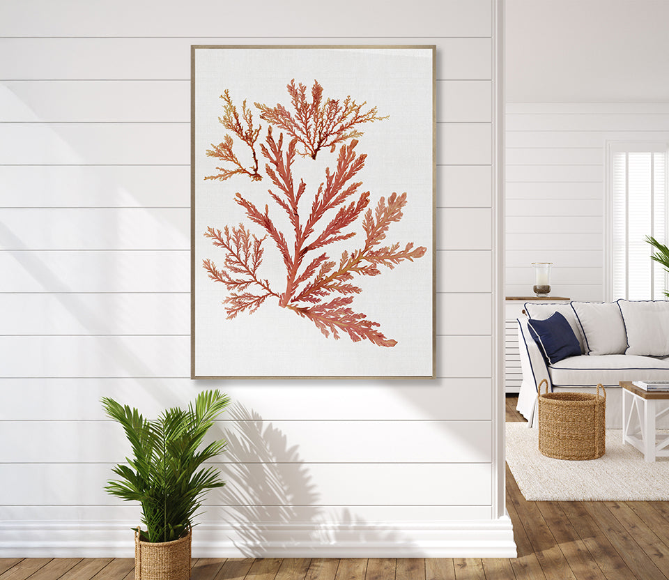 Seaweed Subject VII (Red) (Canvas)
