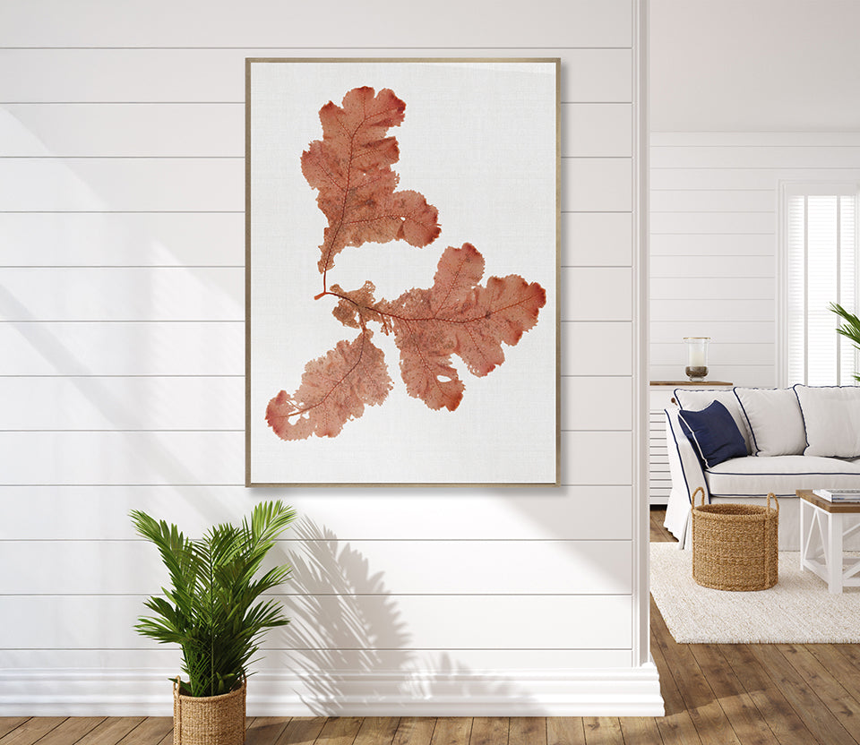 Seaweed Subject VIII (Red) (Canvas)