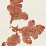var08-c_3