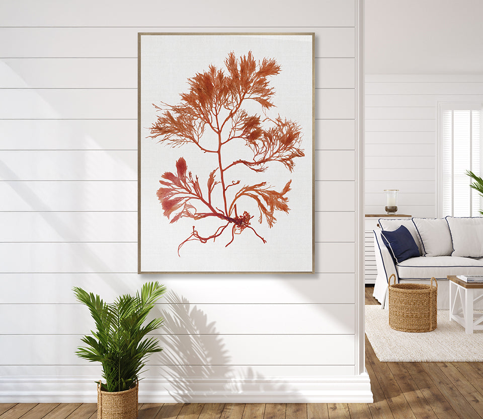 Seaweed Subject X (Red) (Canvas)