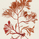 var10_3