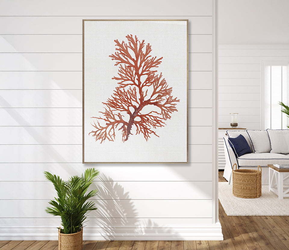 Seaweed Subject XI (Red) (Canvas)