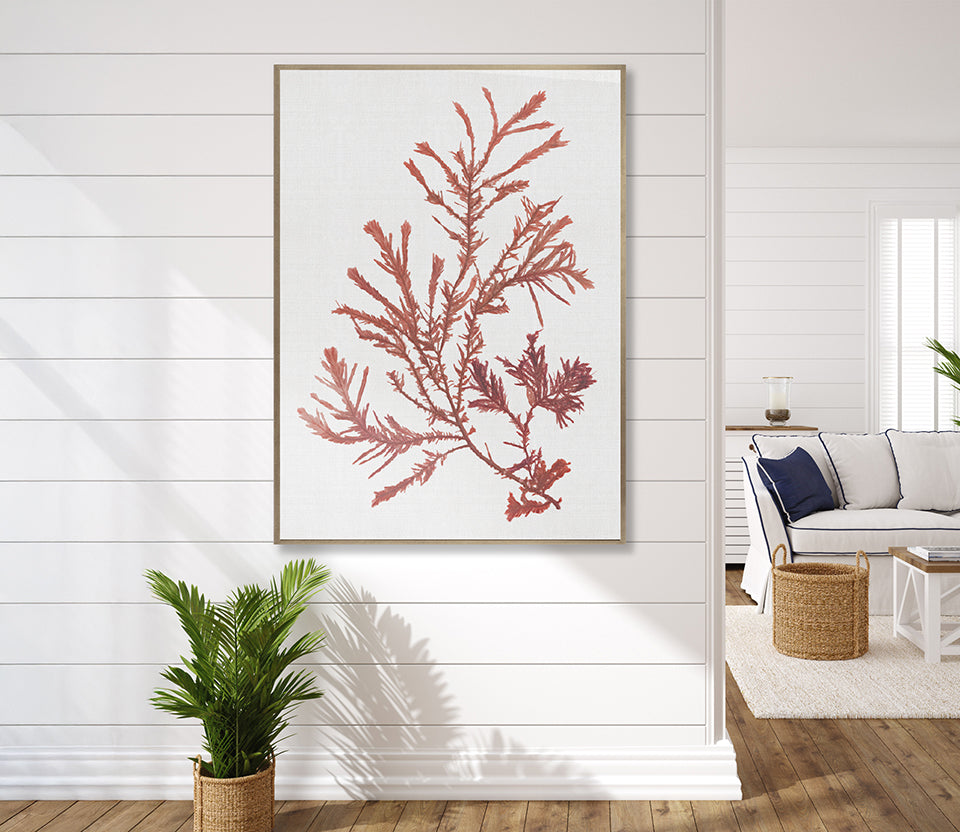 Seaweed Subject XII (Red) (Canvas)