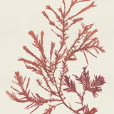var12_3