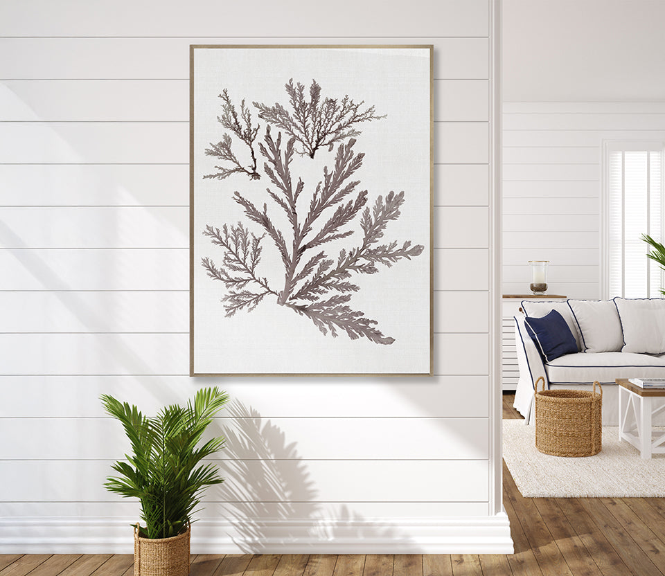 Seaweed Subject XIII (Taupe) (Canvas)