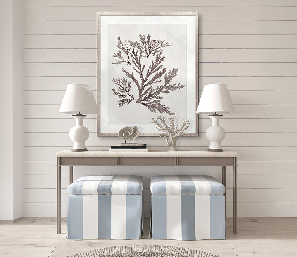 Seaweed Subject XIII (Taupe)