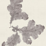 var14-c_3