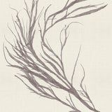 var15-c_3