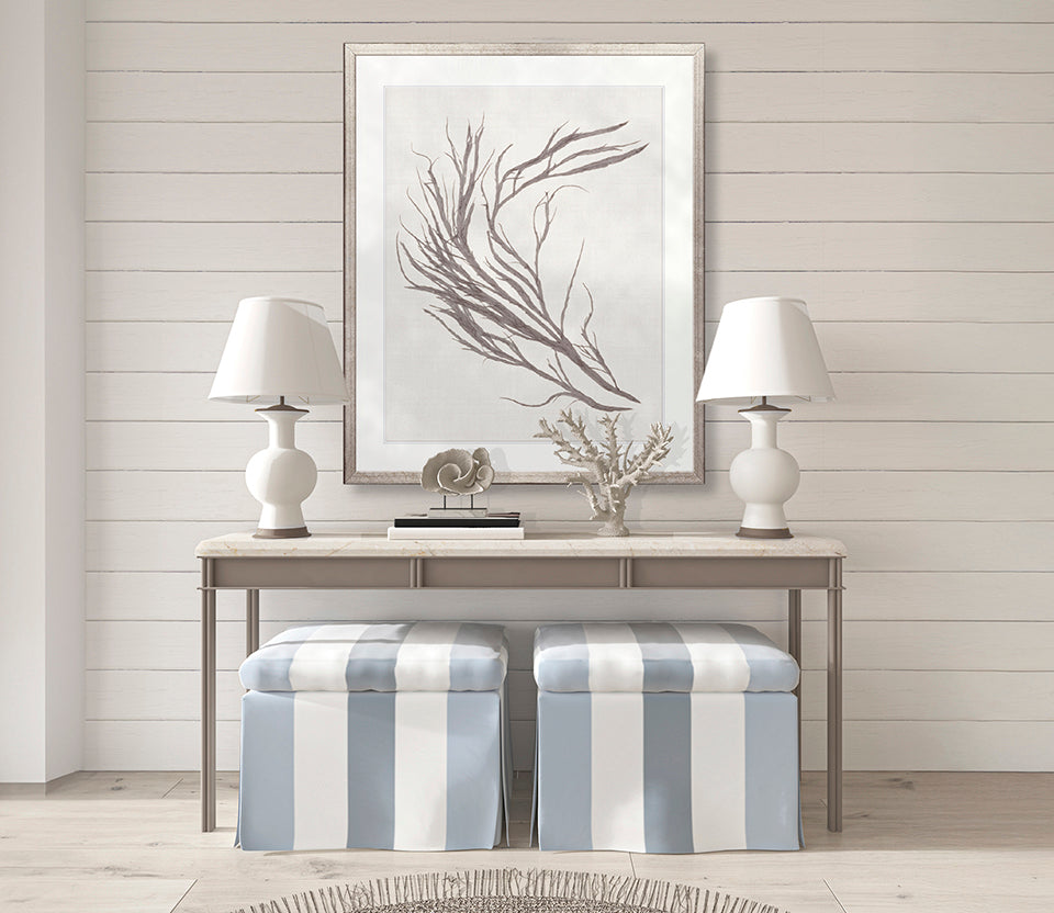 Seaweed Subject XV (Taupe)