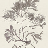 var16-c_3