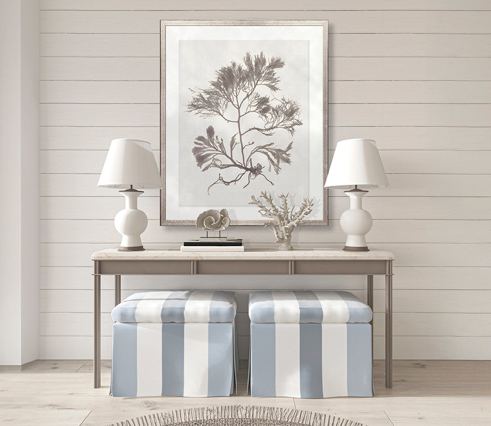 Seaweed Subject XVI (Taupe)
