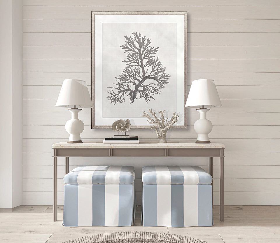 Seaweed Subject XVII (Taupe)