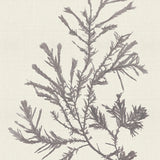 var18_3