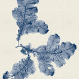 var20_3