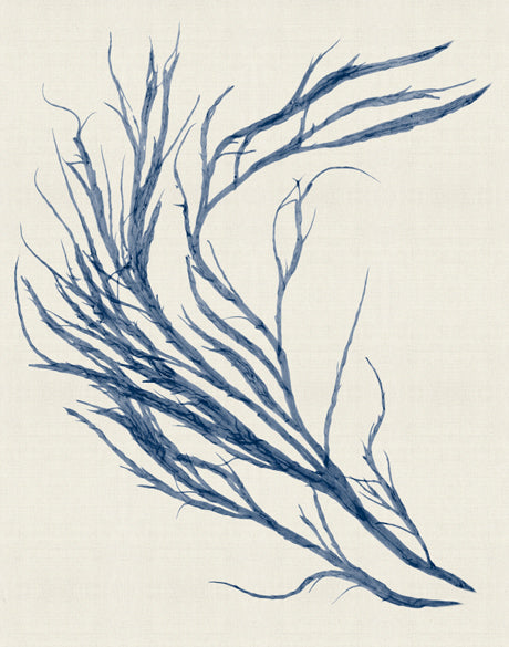 Seaweed Subject XXI (Indigo)