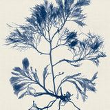 var22_3