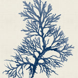 var23_3