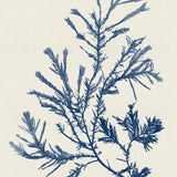 var24_3